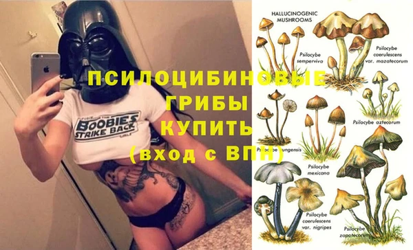 спиды Дмитровск