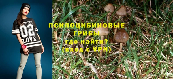 кокаин перу Дмитриев